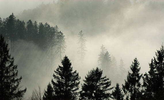 STANDORT NEUBULACH: PIONIERGEIST AUS DEM SCHWARZWALD